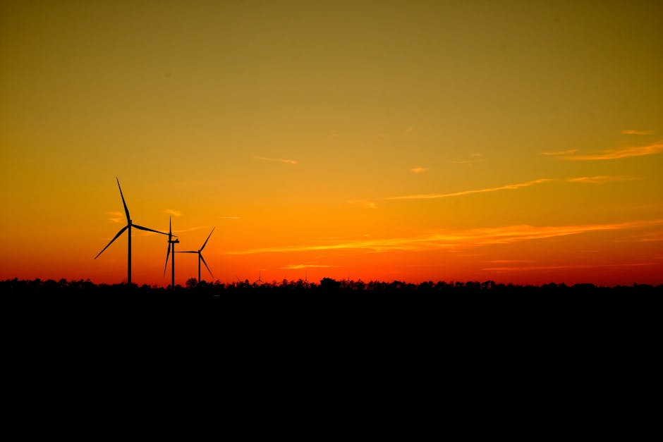 How Denmark Became a Renewable Energy Leader